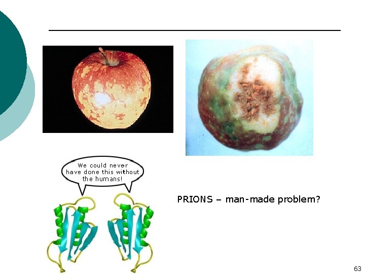 PRIONS – man-made problem? 63 