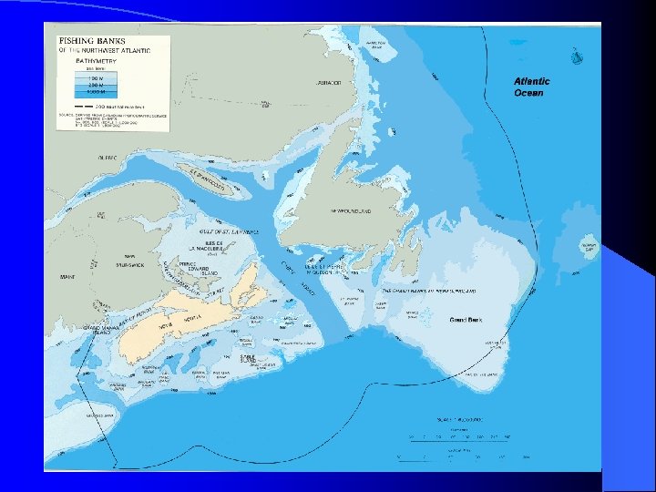 Fisheries Oceans 11 Facts and Figures about Fisheries