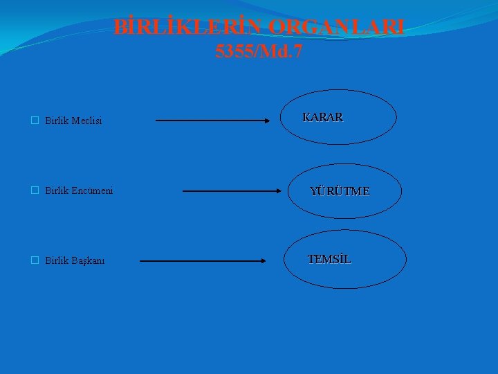 BİRLİKLERİN ORGANLARI 5355/Md. 7 � Birlik Meclisi KARAR � Birlik Encümeni YÜRÜTME � Birlik