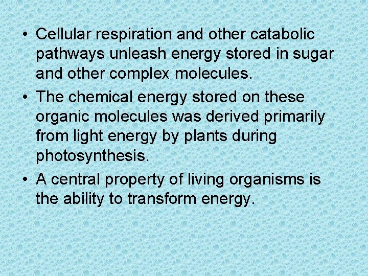  • Cellular respiration and other catabolic pathways unleash energy stored in sugar and