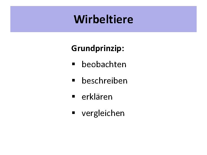 Wirbeltiere Grundprinzip: § beobachten § beschreiben § erklären § vergleichen 