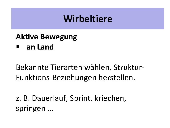 2 Unterrichtspläne Wirbeltiere Aktive Bewegung § an Land Bekannte Tierarten wählen, Struktur. Funktions-Beziehungen herstellen.