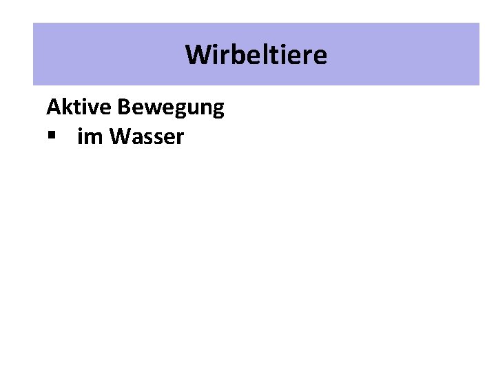 2 Unterrichtspläne Wirbeltiere Aktive Bewegung § im Wasser 