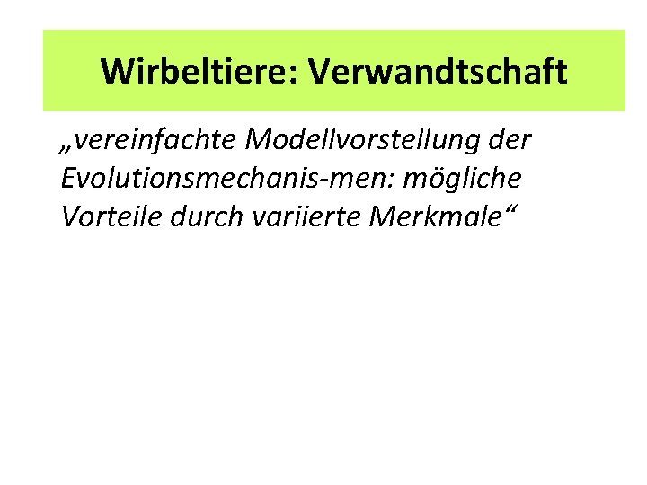 2 Unterrichtspläne Wirbeltiere: Verwandtschaft „vereinfachte Modellvorstellung der Evolutionsmechanis men: mögliche Vorteile durch variierte Merkmale“