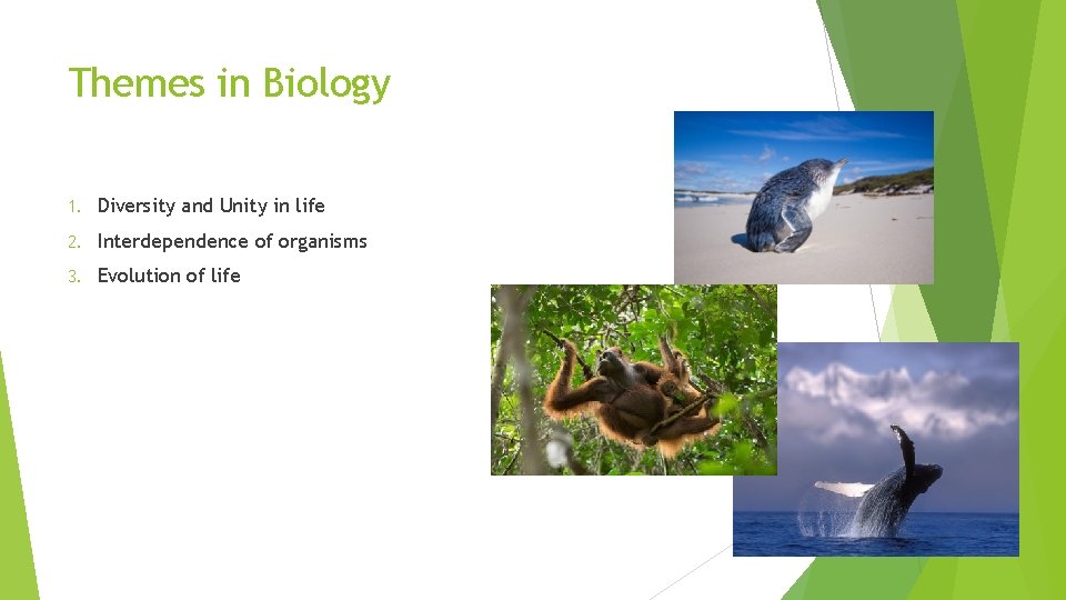 Themes in Biology 1. Diversity and Unity in life 2. Interdependence of organisms 3.