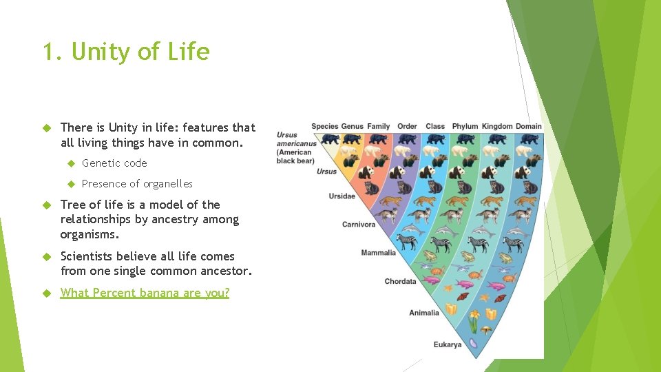 1. Unity of Life There is Unity in life: features that all living things