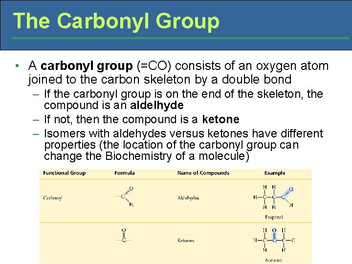 The Carbonyl Group • A carbonyl group (=CO) consists of an oxygen atom joined