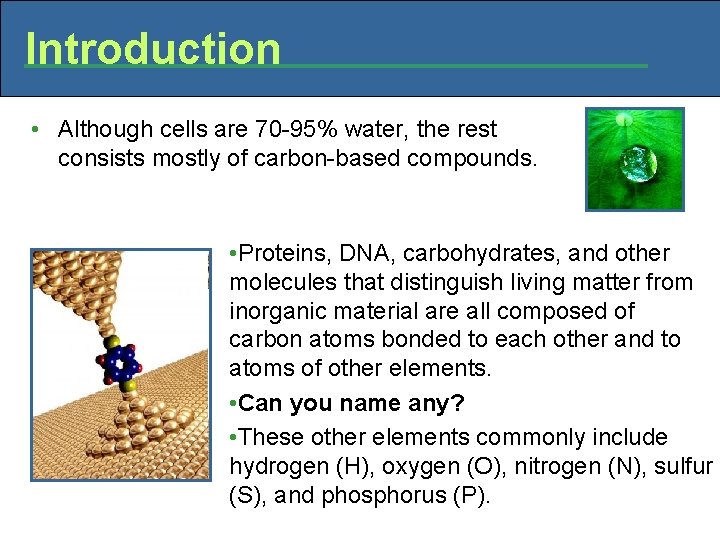 Introduction • Although cells are 70 -95% water, the rest consists mostly of carbon-based
