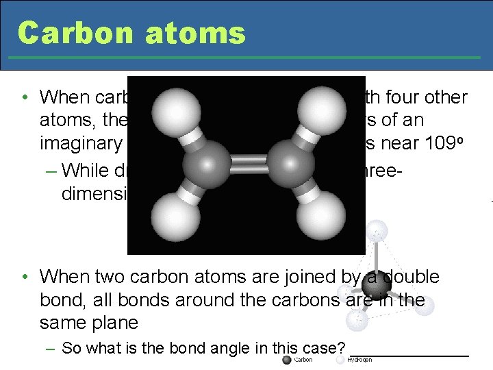 Carbon atoms • When carbon forms covalent bonds with four other atoms, they are