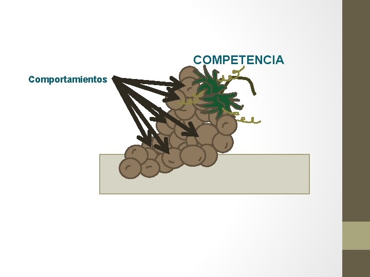 COMPETENCIA Comportamientos 