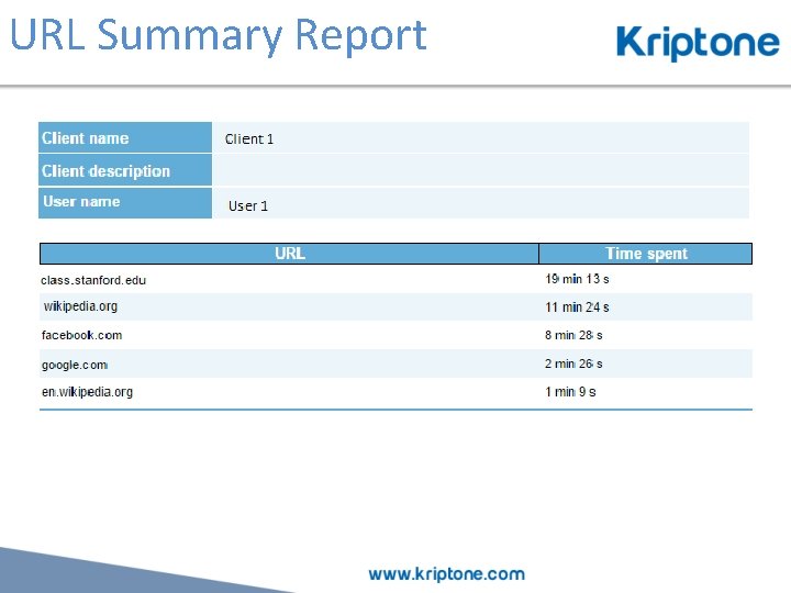 URL Summary Report 