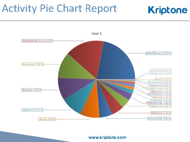 Activity Pie Chart Report 