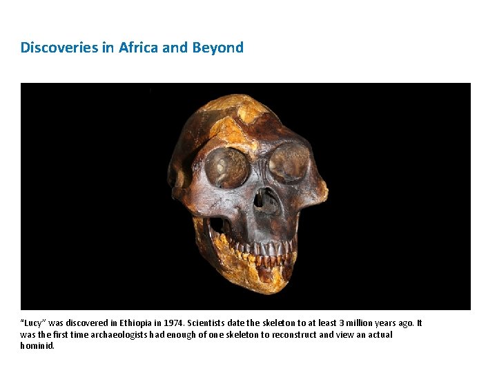 Discoveries in Africa and Beyond “Lucy” was discovered in Ethiopia in 1974. Scientists date