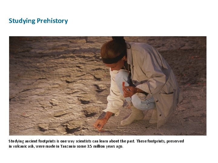 Studying Prehistory Studying ancient footprints is one way scientists can learn about the past.