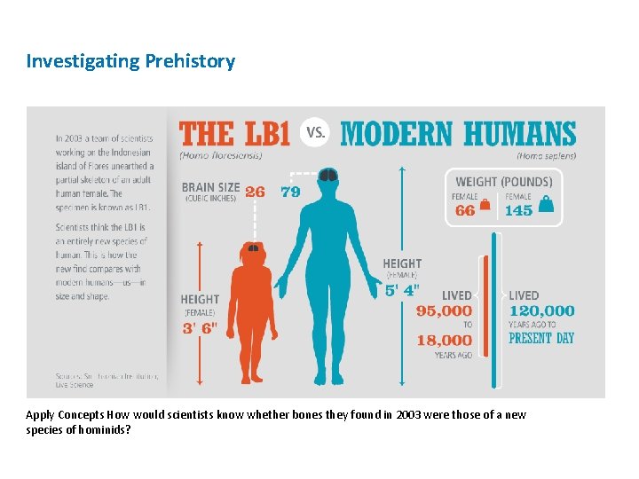 Investigating Prehistory Apply Concepts How would scientists know whether bones they found in 2003