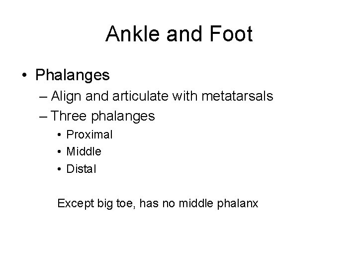 Ankle and Foot • Phalanges – Align and articulate with metatarsals – Three phalanges