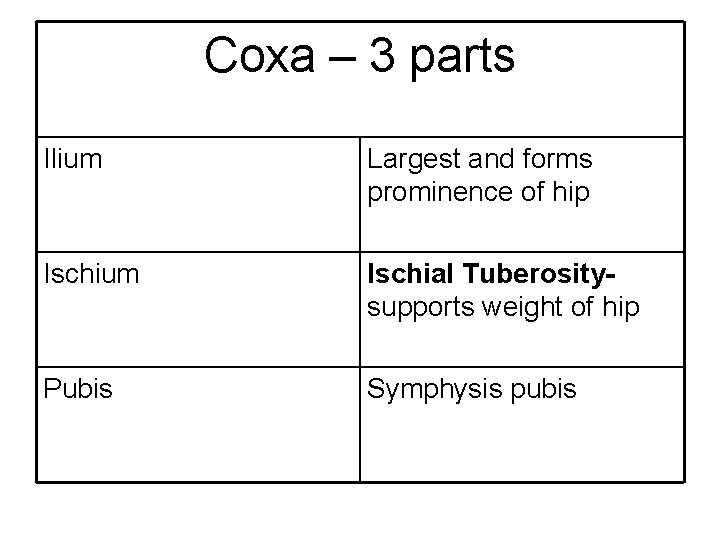 Coxa – 3 parts Ilium Largest and forms prominence of hip Ischium Ischial Tuberositysupports