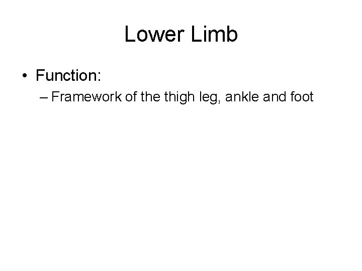Lower Limb • Function: – Framework of the thigh leg, ankle and foot 