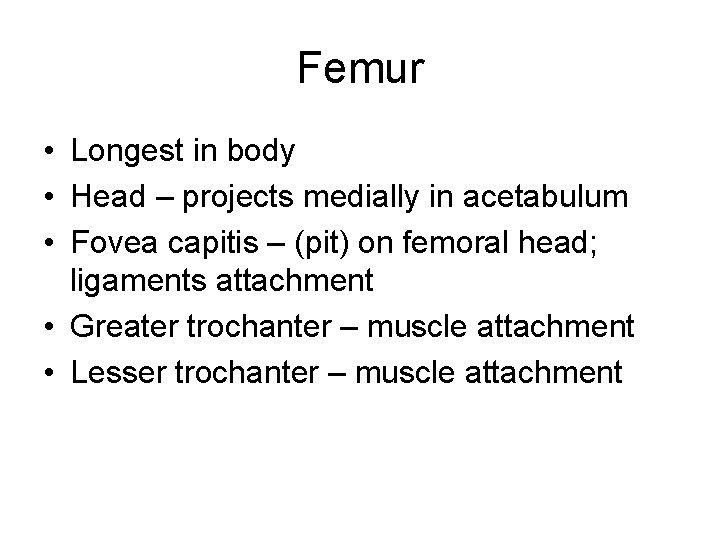 Femur • Longest in body • Head – projects medially in acetabulum • Fovea