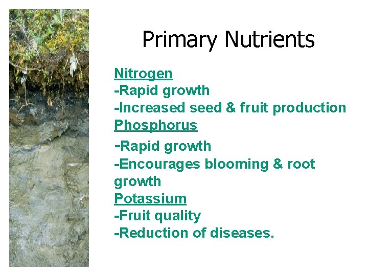 Primary Nutrients Nitrogen -Rapid growth -Increased seed & fruit production Phosphorus -Rapid growth -Encourages Primary Nutrients Nitrogen -Rapid growth -Increased seed & fruit production Phosphorus -Rapid growth -Encourages