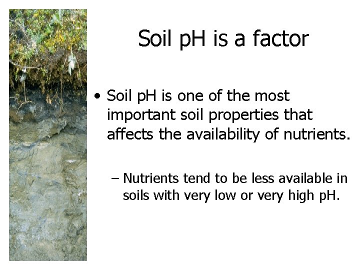 Soil p. H is a factor • Soil p. H is one of the Soil p. H is a factor • Soil p. H is one of the