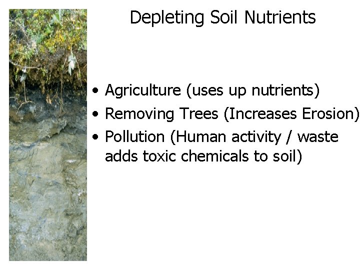 Depleting Soil Nutrients • Agriculture (uses up nutrients) • Removing Trees (Increases Erosion) • Depleting Soil Nutrients • Agriculture (uses up nutrients) • Removing Trees (Increases Erosion) •