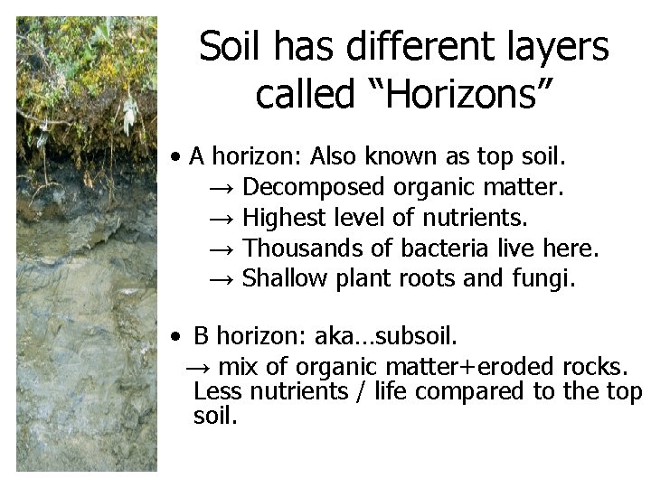 Soil has different layers called “Horizons” • A horizon: Also known as top soil. Soil has different layers called “Horizons” • A horizon: Also known as top soil.