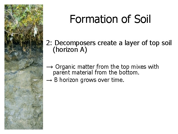 Formation of Soil 2: Decomposers create a layer of top soil (horizon A) → Formation of Soil 2: Decomposers create a layer of top soil (horizon A) →