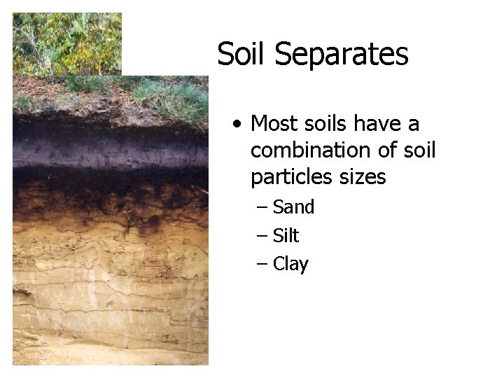 Soil Separates • Most soils have a combination of soil particles sizes – Sand Soil Separates • Most soils have a combination of soil particles sizes – Sand