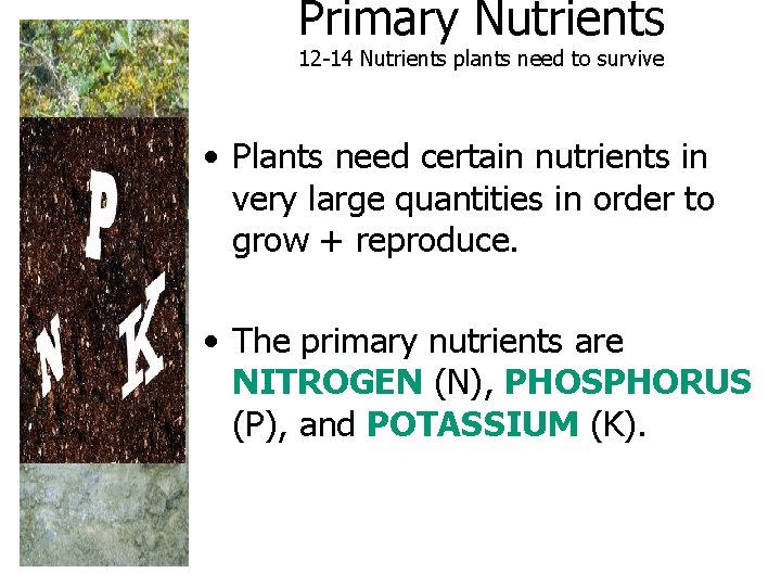Primary Nutrients 12 -14 Nutrients plants need to survive • Plants need certain nutrients Primary Nutrients 12 -14 Nutrients plants need to survive • Plants need certain nutrients