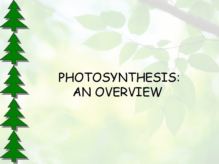 PHOTOSYNTHESIS: AN OVERVIEW 