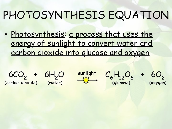 PHOTOSYNTHESIS EQUATION • Photosynthesis: a process that uses the energy of sunlight to convert