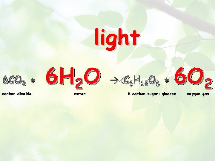 light 6 CO 2 + carbon dioxide 6 H 2 O water C 6