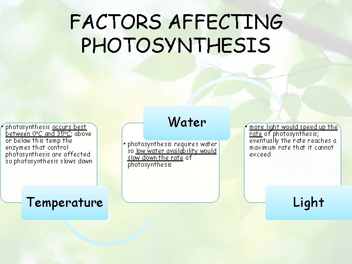 FACTORS AFFECTING PHOTOSYNTHESIS • photosynthesis occurs best between 0 C and 35 C; above