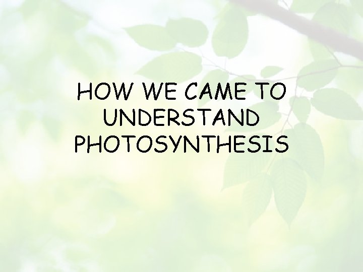HOW WE CAME TO UNDERSTAND PHOTOSYNTHESIS 