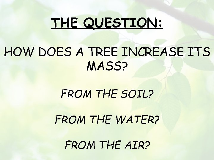 THE QUESTION: HOW DOES A TREE INCREASE ITS MASS? FROM THE SOIL? FROM THE