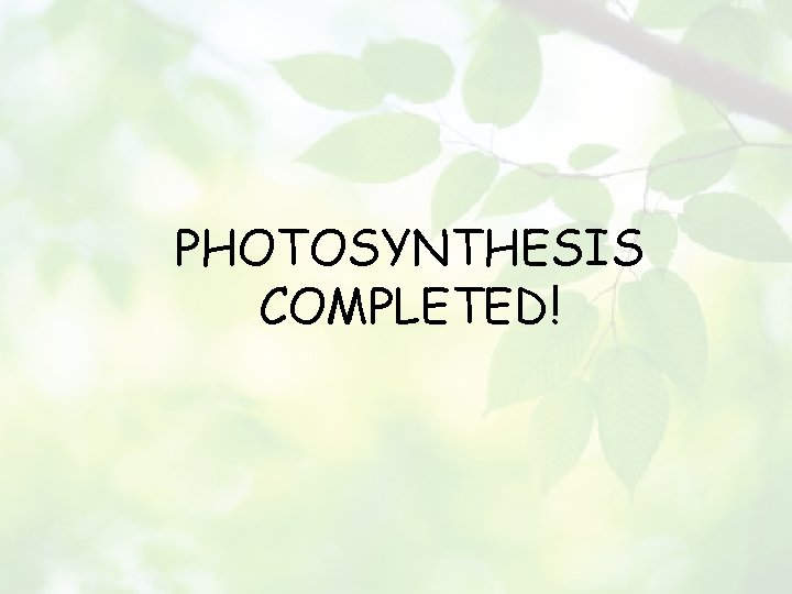 PHOTOSYNTHESIS COMPLETED! 