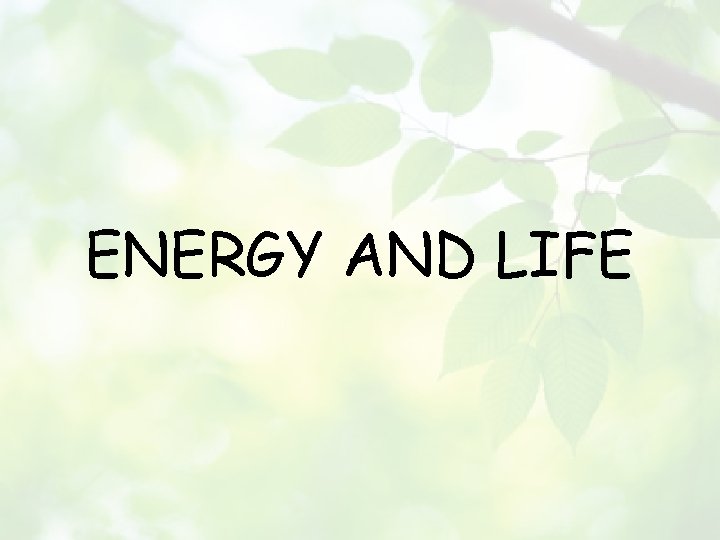 ENERGY AND LIFE 