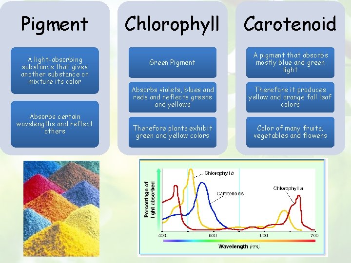 Pigment A light-absorbing substance that gives another substance or mixture its color Absorbs certain