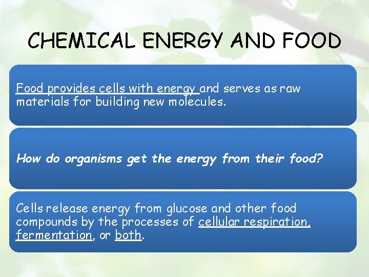 CHEMICAL ENERGY AND FOOD Food provides cells with energy and serves as raw materials