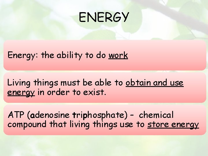 ENERGY Energy: the ability to do work Living things must be able to obtain