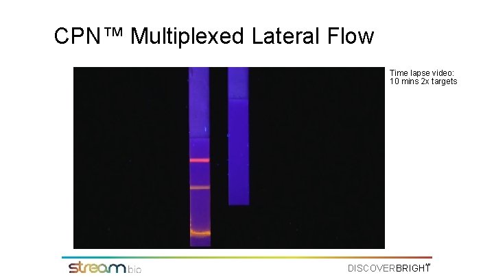 CPN™ Multiplexed Lateral Flow Time lapse video: 10 mins 2 x targets TM DISCOVERBRIGHT