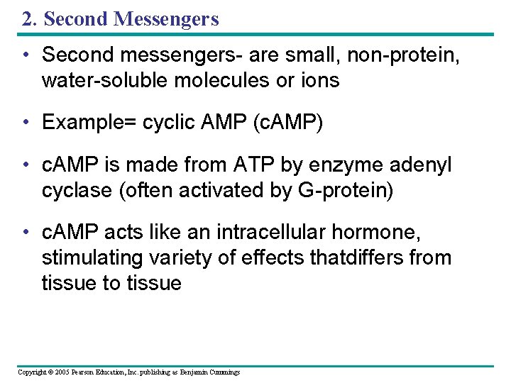 2. Second Messengers • Second messengers- are small, non-protein, water-soluble molecules or ions •