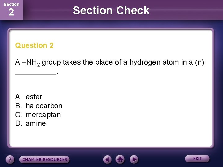 Section Check 2 Question 2 A –NH 2 group takes the place of a