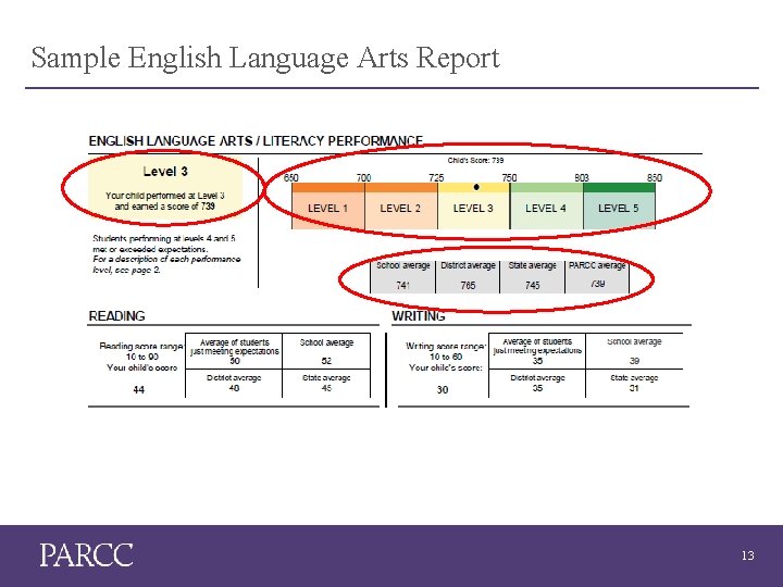 Sample English Language Arts Report 13 