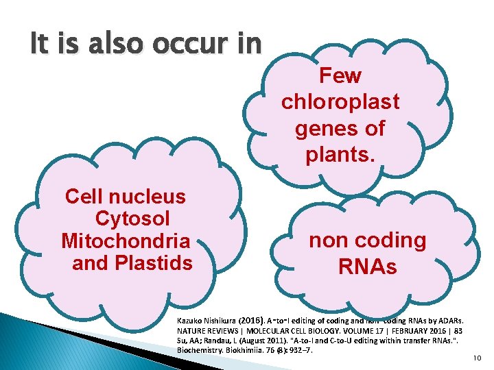 It is also occur in Cell nucleus Cytosol Mitochondria and Plastids Few chloroplast genes