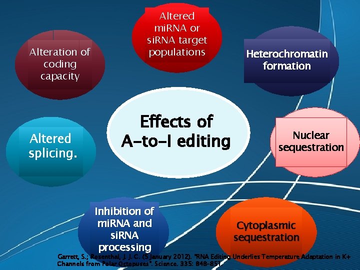 Alteration of coding capacity Altered splicing. Altered mi. RNA or si. RNA target populations