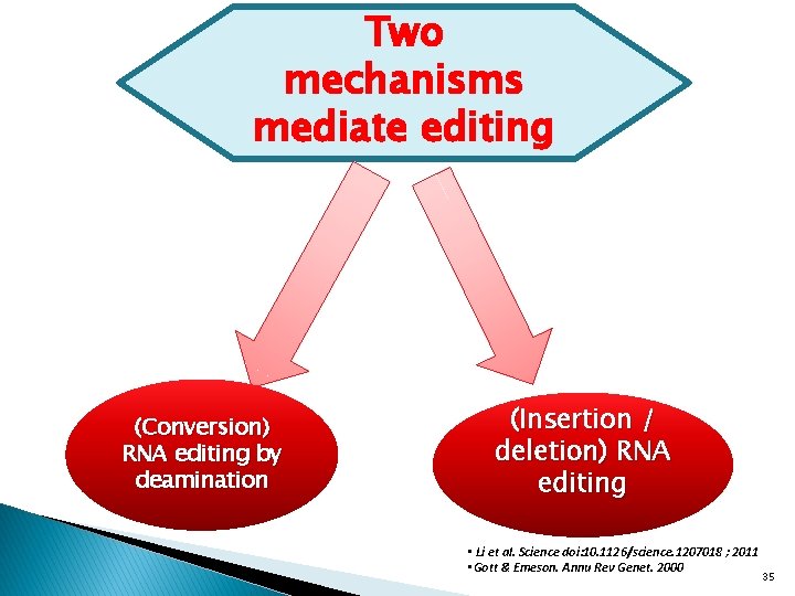 Two mechanisms mediate editing (Conversion) RNA editing by deamination (Insertion / deletion) RNA editing