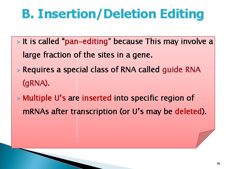 B. Insertion/Deletion Editing Ø It is called "pan-editing“ because This may involve a large