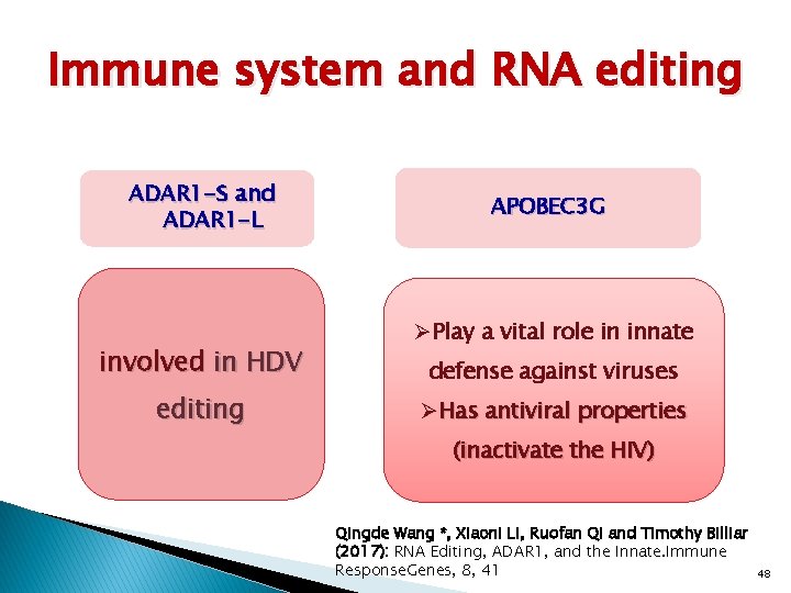 Immune system and RNA editing ADAR 1 -S and ADAR 1 -L involved in